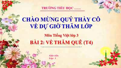 Bài giảng Về thăm quê (Tiết 4)